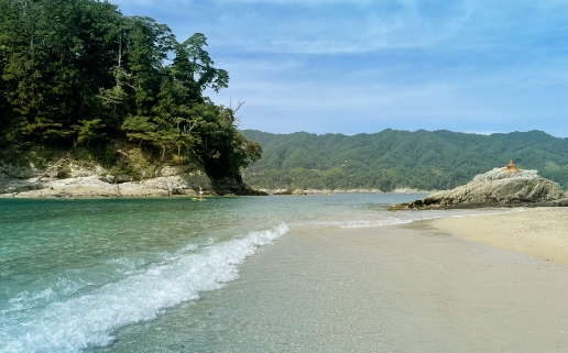 レッスンイメージ